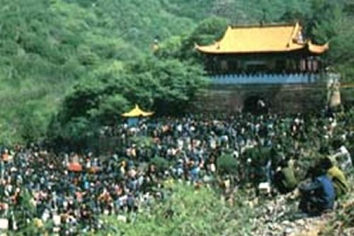 相山公園圖片