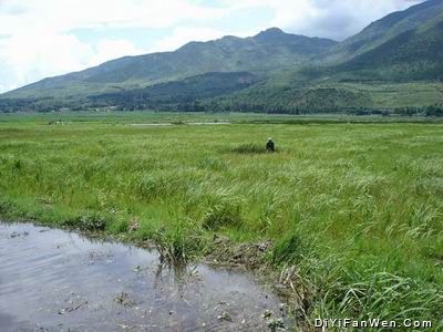 騰衝北海濕地圖片