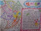 環保手抄報：人類，只有一個地球