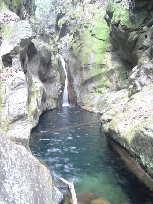 黃山五溪山圖片