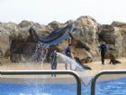 香港海洋公園