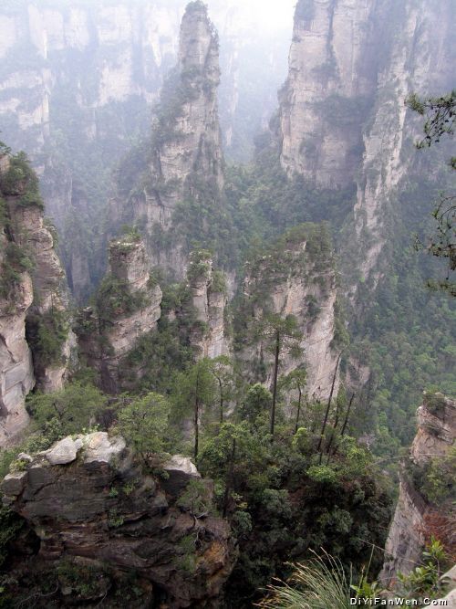 筆墨山水張家界圖片