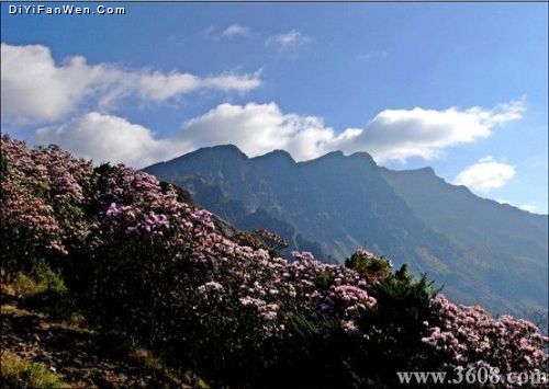 雲南轎子山圖片