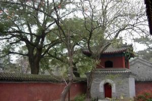 紅螺寺組圖（3）圖片