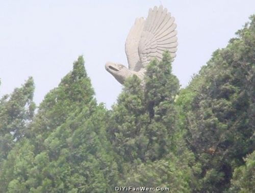 原山國家森林公園圖片