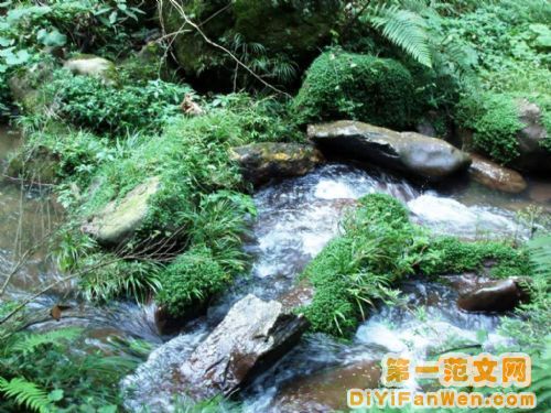 雅安圖片