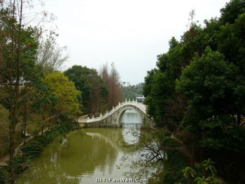 仙湖植物園圖片