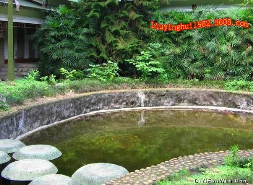 廣西都樂岩圖片