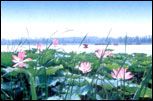 白雲湖公園圖片