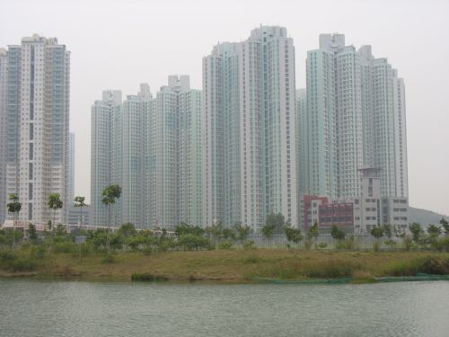 香港濕地公園圖片