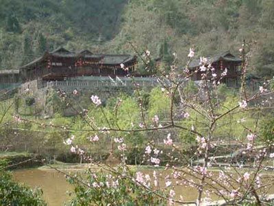 桃花源風景圖片