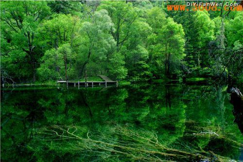 九寨溝風景神仙池圖片