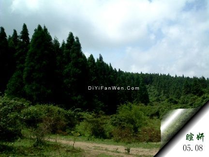 仙女山風景圖圖片