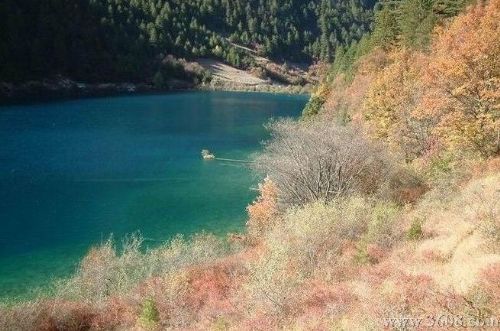 四川犀牛海圖片