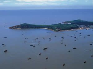 仙人島森林公園圖片