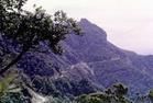 黃岡風光圖片