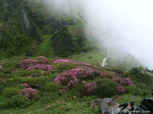 梵淨山圖片
