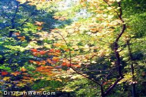 天平山圖片