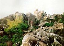 東山嶺圖片