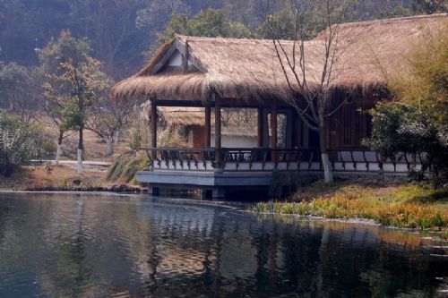 杭州早春三月圖片