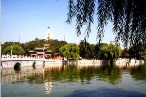北京北海圖片（4）圖片