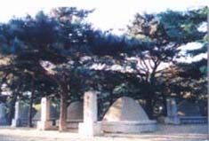 抗美援朝烈士陵園圖片