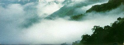 阿里山森林遊樂區圖片