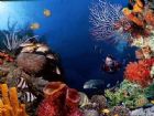 海洋水族館
