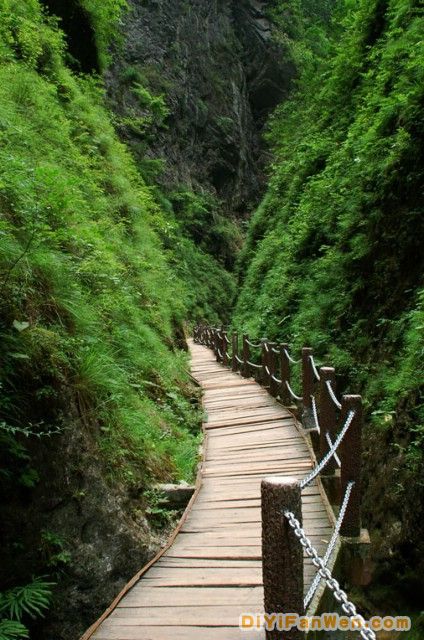 陝西金絲大峽谷圖片