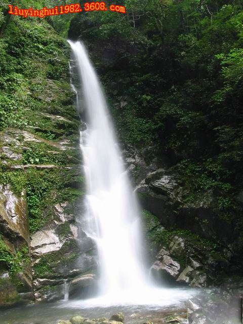 廣西九萬山圖片