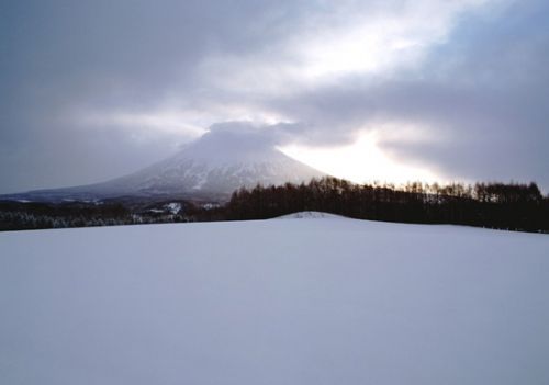 北海道的冬天圖片