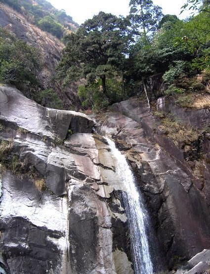 湖南都龐嶺自然保護區圖片