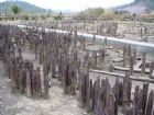 河姆渡遺址