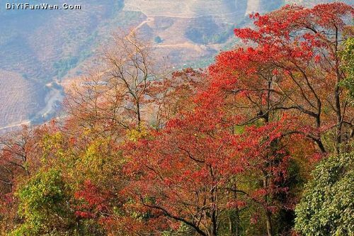 廣東從化石門紅葉美景圖片