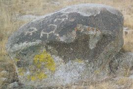 古代岩畫圖片