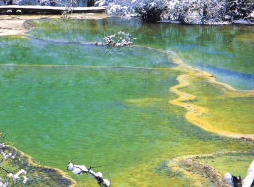 四川黃龍圖片