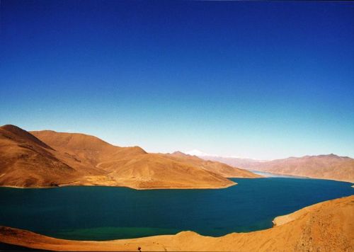 羊卓雍湖圖片