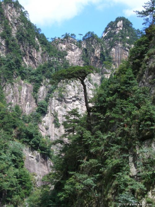 大明山圖片