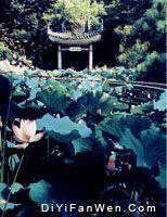 盧廉若公園圖片