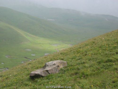 雲南大海草山圖片