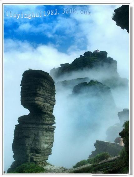 貴州梵淨山圖片