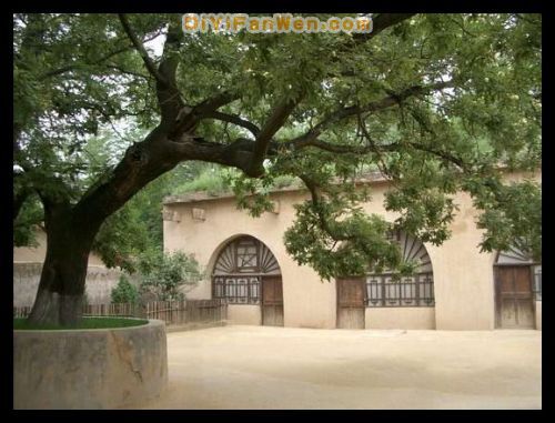 陝西延安革命紀念館圖片