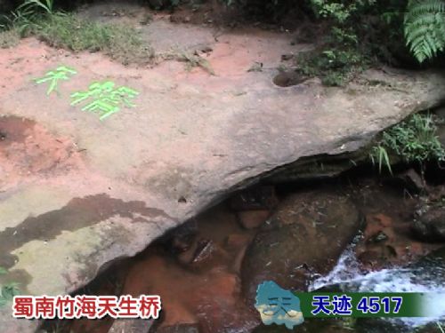 蜀南竹海圖片