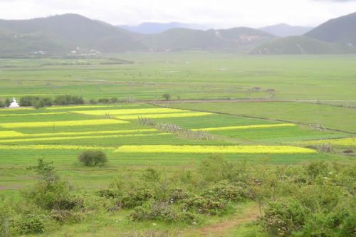 雲南香格里拉圖片