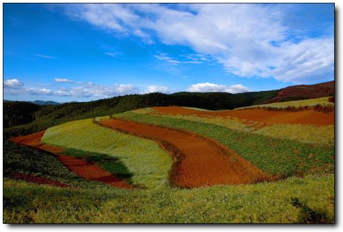 東川紅土地圖片
