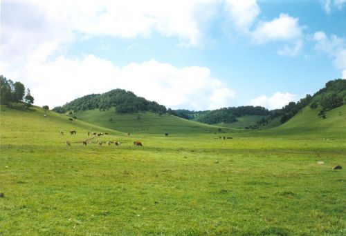 關山草原圖片