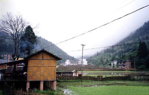大井圖片