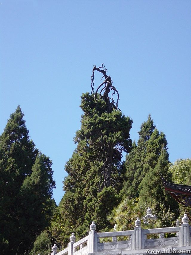 雲南木府圖片