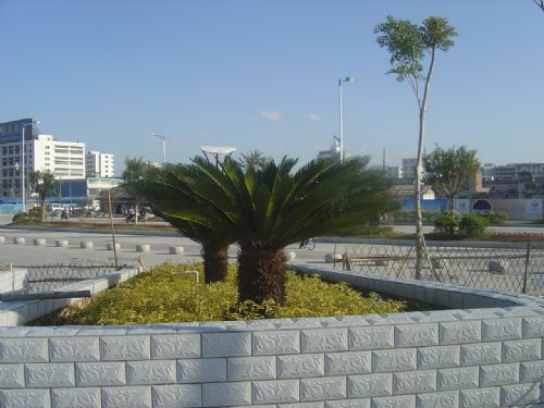 廣東揭陽市隨影圖片