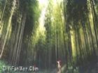 濮塘風景區